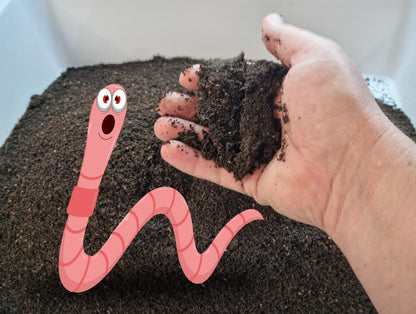 Worm Castings (pick up only)